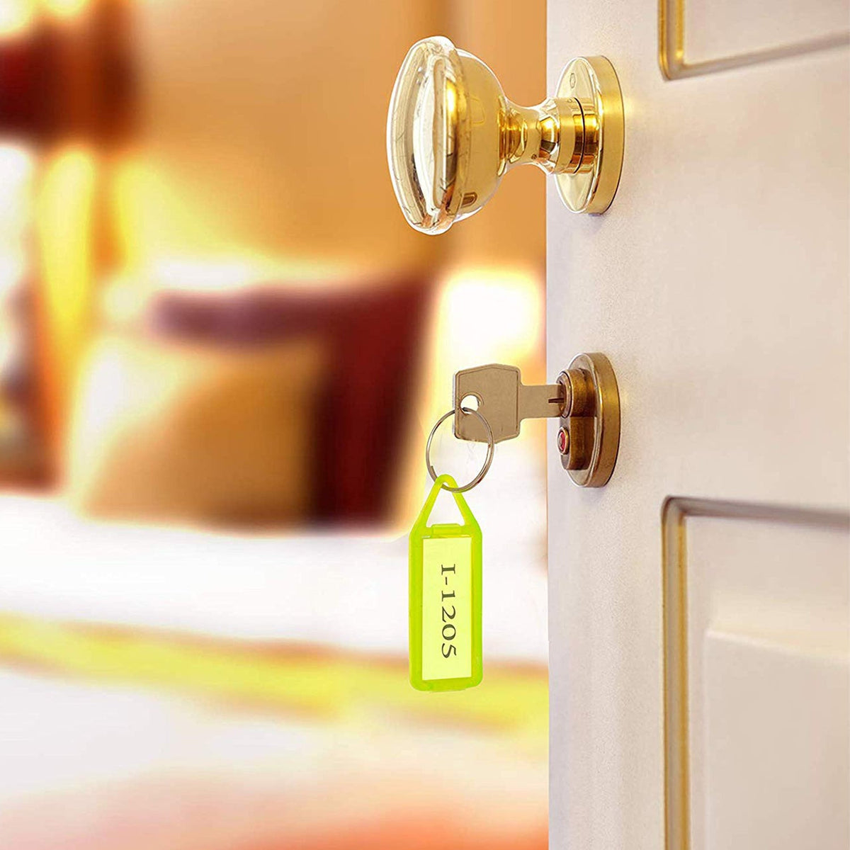 Organized translucent plastic keychain tags perfect for home and office
