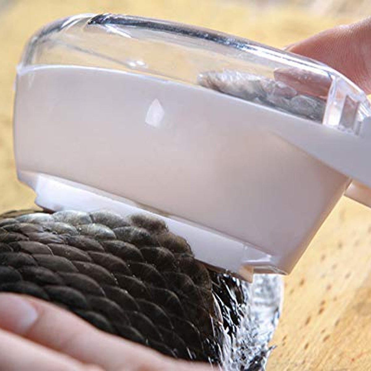 Close-up of the Fish Scale Scraper collecting case preventing mess.
