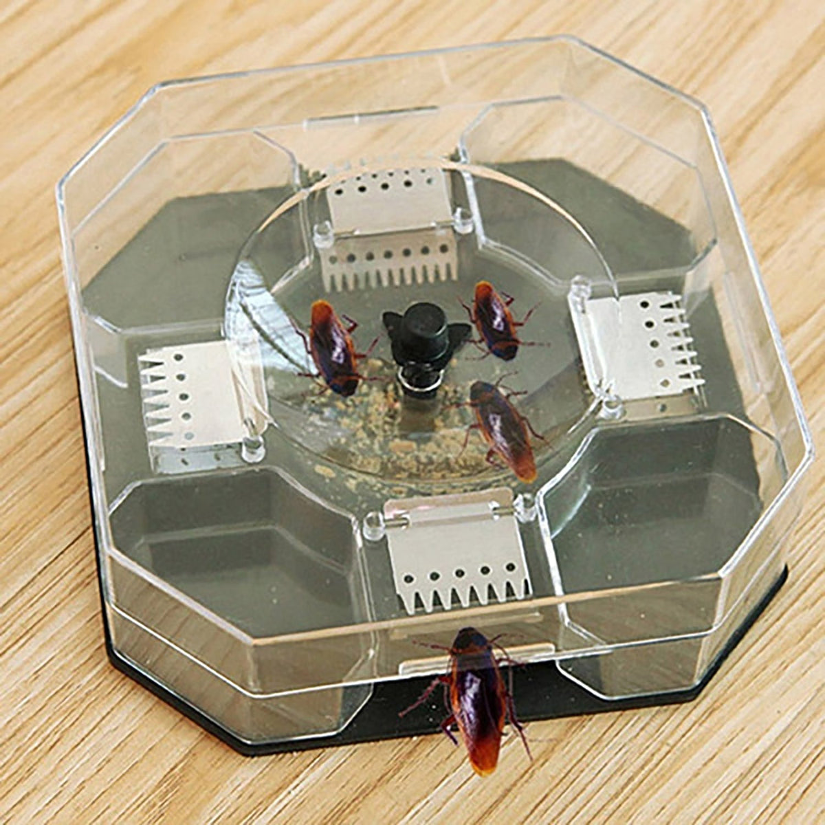 Grow Vanta Cockroach Trap Box, a non-toxic solution for pest control in Indian homes.
